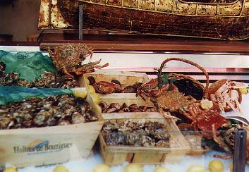 fish.jpg (34400 bytes)