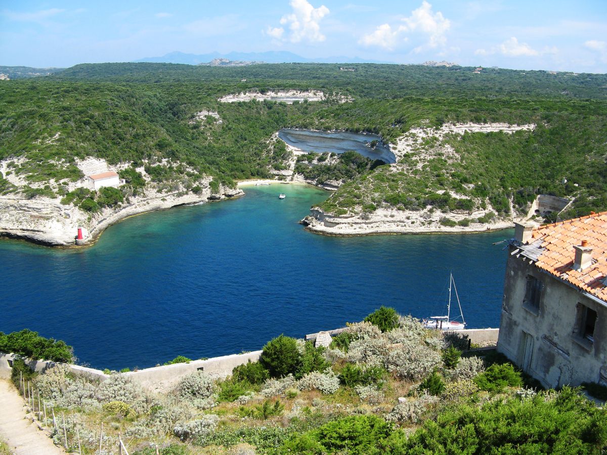 k10_bonifacio_04.jpg