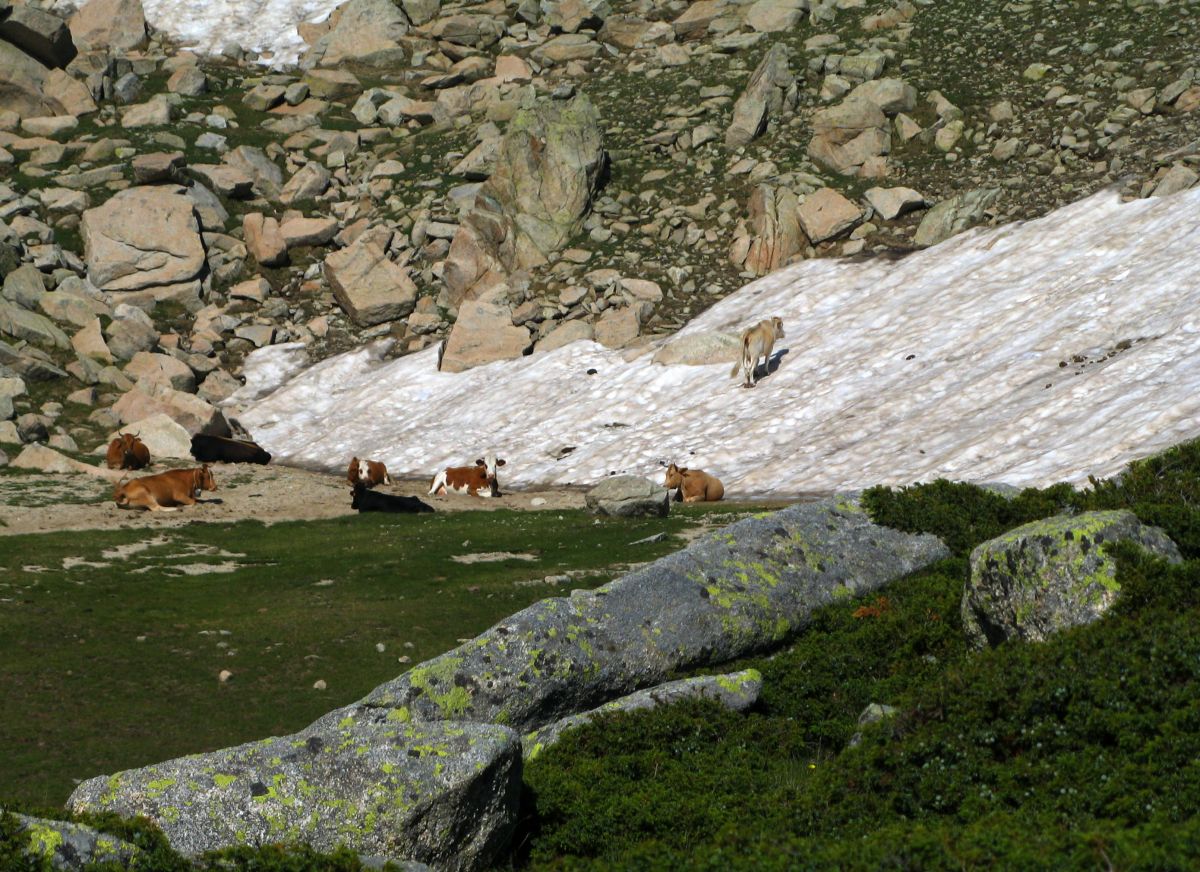 k12_monte_renosu_08.jpg