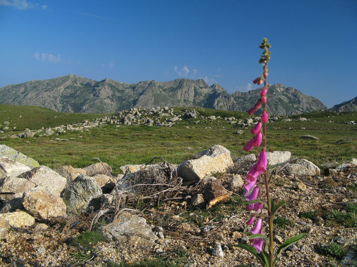 k13_pozzi_02.jpg