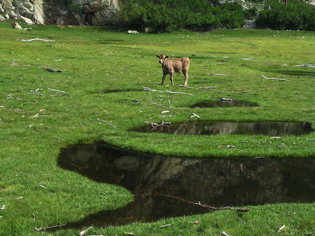 k13_pozzi_08.jpg