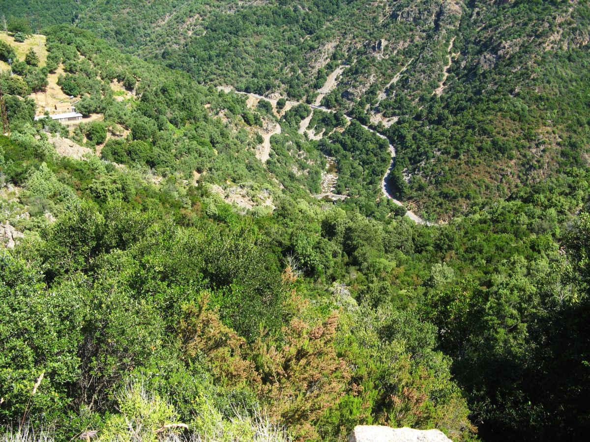 k50_silnice_02.jpg
