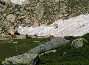 k12_monte_renosu_08.jpg