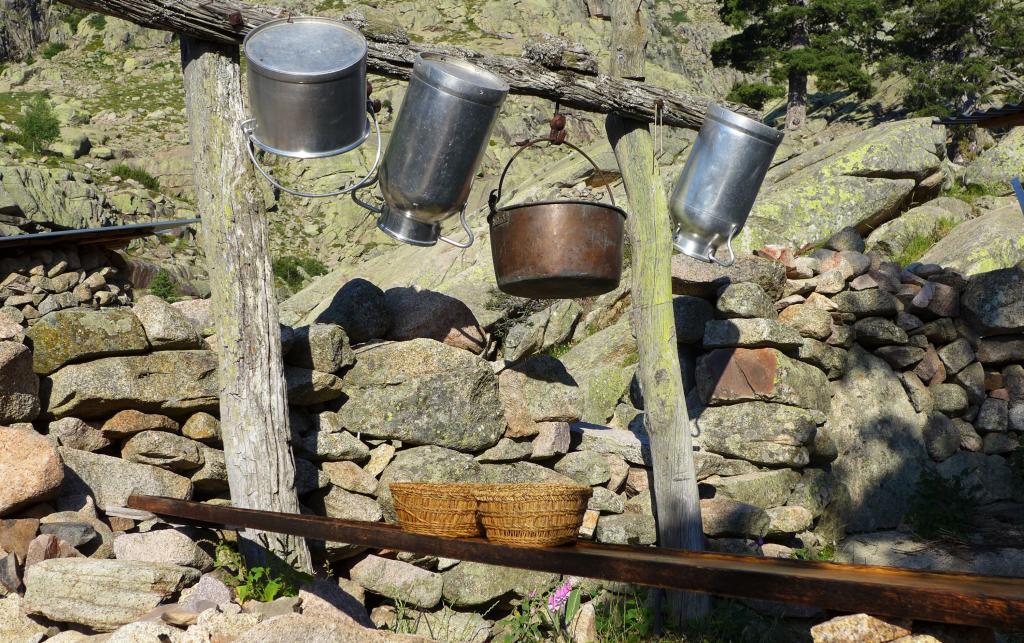 04_paglia_orba_2.jpg
