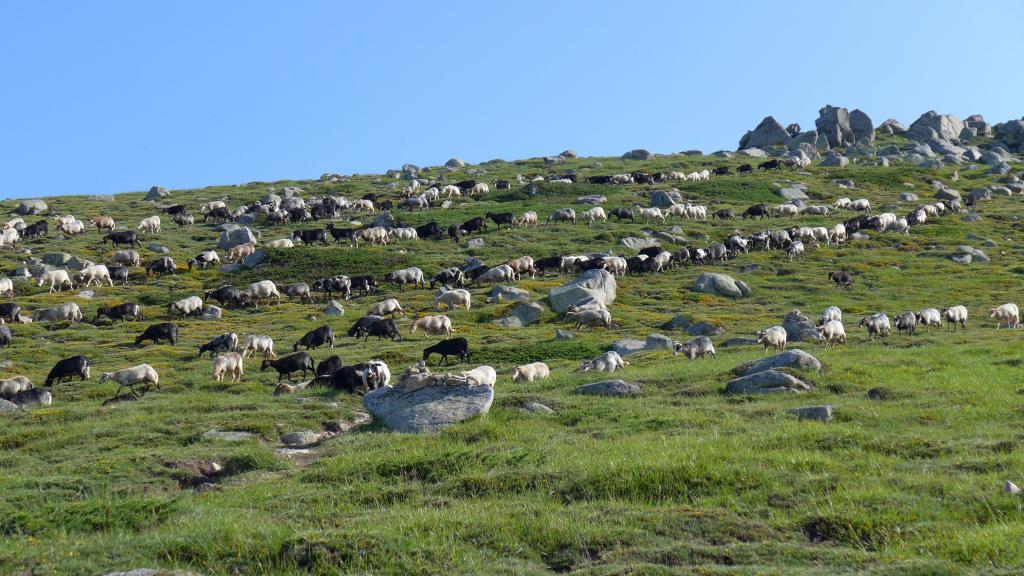 17_salase_pozzi_03.jpg