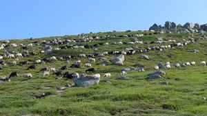 17_salase_pozzi_03.jpg