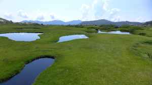 17_salase_pozzi_05.jpg