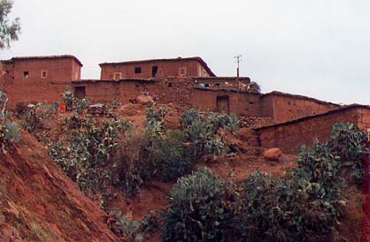 domycerv.jpg (30587 bytes)
