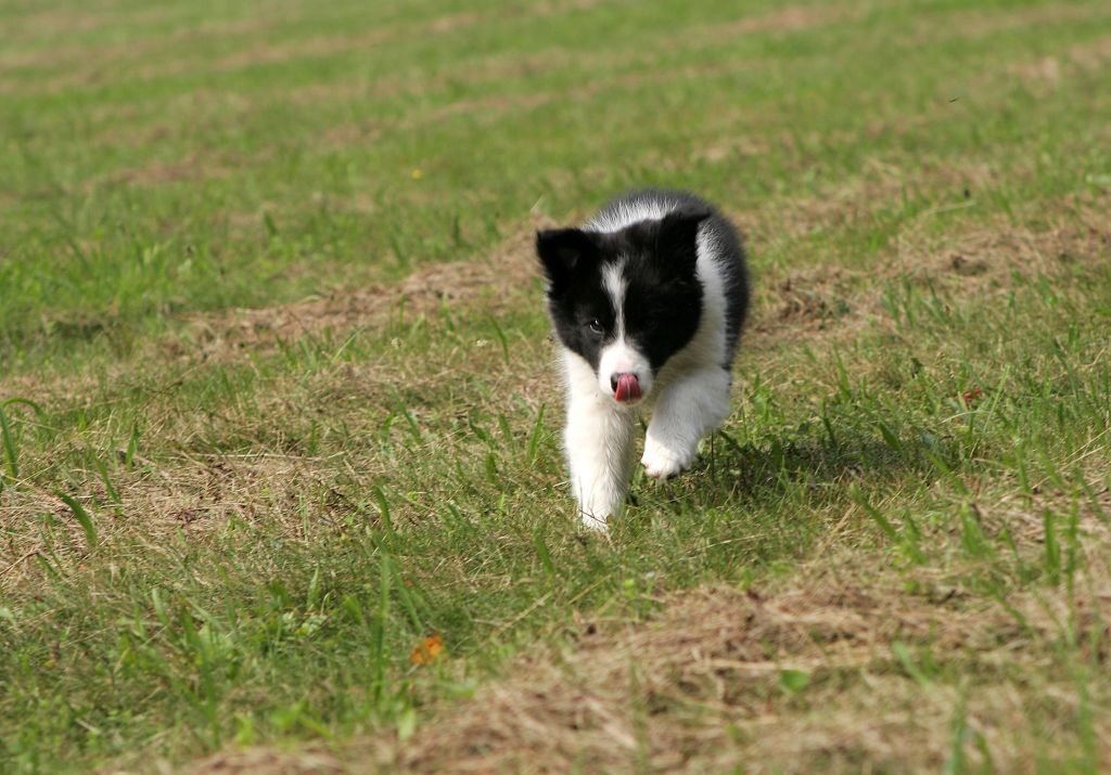 2013-08-21.jpg