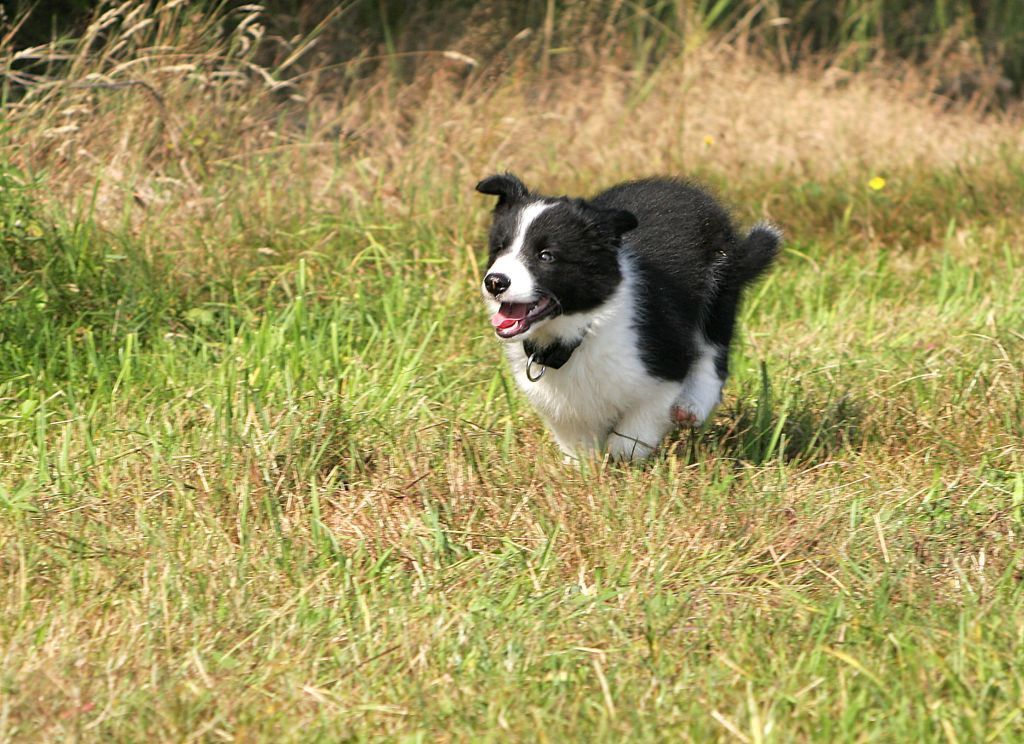 2013-08-25.jpg