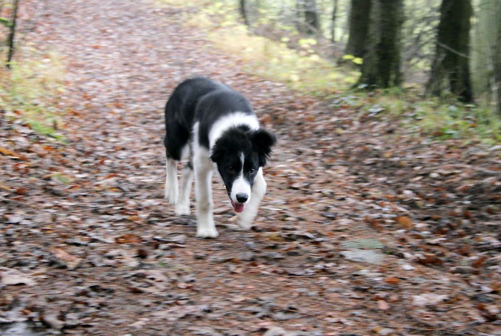 2013-11-01.jpg