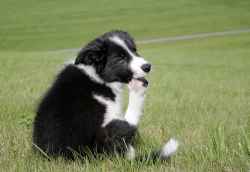 2013-09-11-premysli.jpg