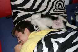 2013-09-17_postel_2.jpg
